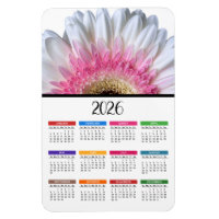 2023 Rosa und Weiße Gerbera Daisy Kalender