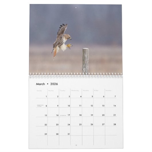 2023 Roter Schwanz im Hudson-Tal Kalender (Mär 2026)