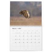 2023 Roter Schwanz im Hudson-Tal Kalender (Feb 2026)