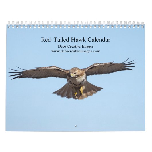 2023 Roter Schwanz im Hudson-Tal Kalender (Titelbild)