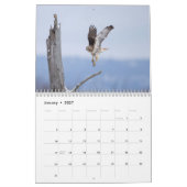 2023 Roter Schwanz im Hudson-Tal Kalender (Jan 2027)