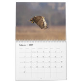 2023 Roter Schwanz im Hudson-Tal Kalender (Feb 2027)