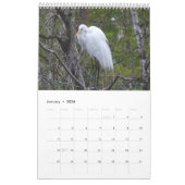 2023 Sanibel Island Calendar Kalender (Jan 2026)