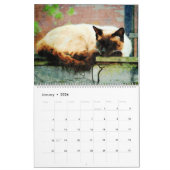2023 Schöne siamesische Katze Lover Besitzer Gesch Kalender (Jan 2026)