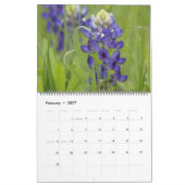 2023 Texas-Bluebonnets Kalender (Feb 2027)