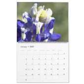2023 Texas-Bluebonnets Kalender (Jan 2027)