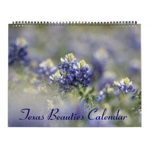 2023 Texas-Bluebonnets Kalender
