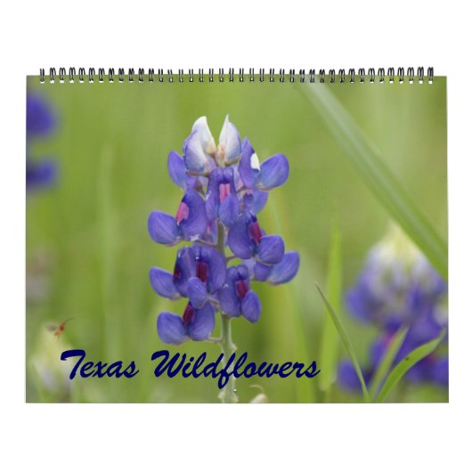 2023 Texas-Wildblumen Kalender (Titelbild)