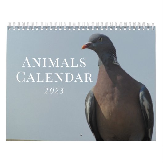 2023 Tierart Kalender (Titelbild)