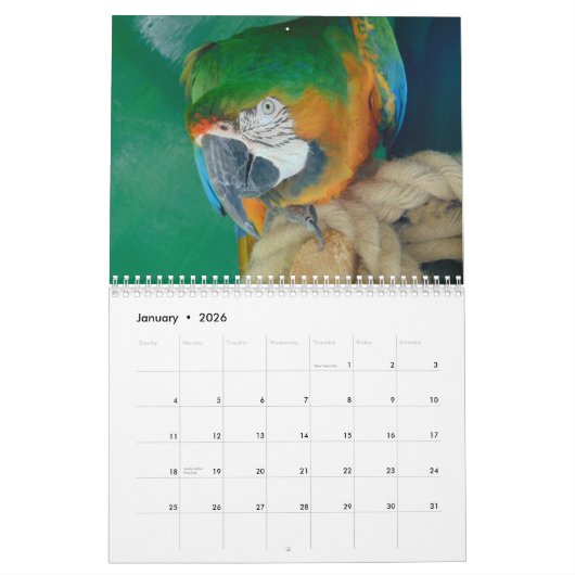 2023 Tierart Kalender (Jan 2026)