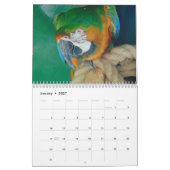 2023 Tierart Kalender (Jan 2027)