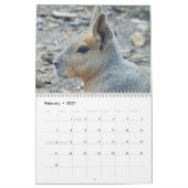 2023 Tierart Kalender (Feb 2027)