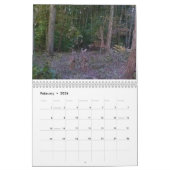 2023 Tiere des Naturkalenders Kalender (Feb 2026)