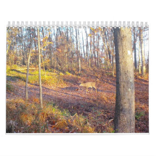 2023 Tiere des Naturkalenders Kalender