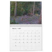 2023 Tiere des Naturkalenders Kalender (Feb 2027)