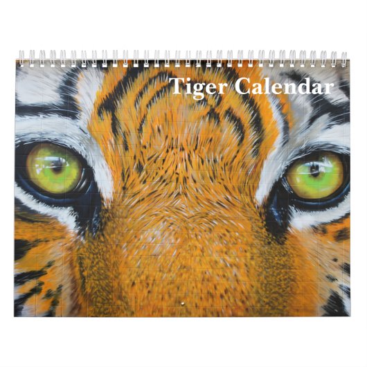 2023 Tiger Fotografie Wildtier Kalender (Titelbild)