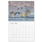 2023 Trumpeter Swan Wall Calendar Kalender (Jan 2026)