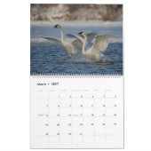 2023 Trumpeter Swan Wall Calendar Kalender (Mär 2027)