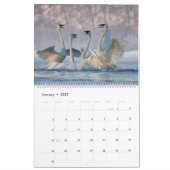 2023 Trumpeter Swan Wall Calendar Kalender (Jan 2027)