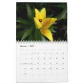 2023 vom Gartenkalender Lins Kalender (Feb 2027)