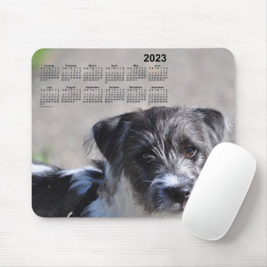 2023 Welpenkalender von Janz Jack Russell Terrier Mousepad (Mit Mouse)