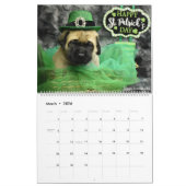 2023 Welpenkalender von Mastador Kalender (Mär 2026)