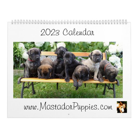 2023 Welpenkalender von Mastador Kalender (Titelbild)