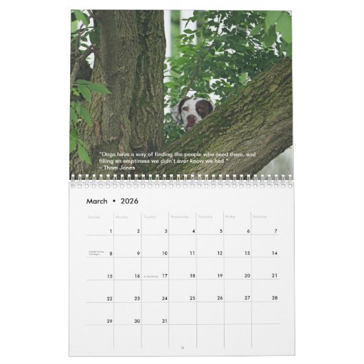2023 Zeiger des Herzkalenders PointerRescue Kalender (Mär 2026)