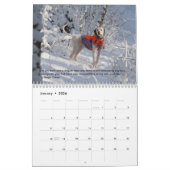 2023 Zeiger des Herzkalenders PointerRescue Kalender (Jan 2026)