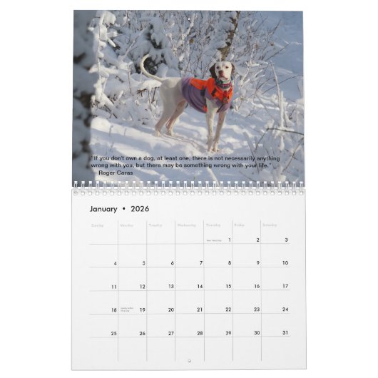 2023 Zeiger des Herzkalenders PointerRescue Kalender (Jan 2026)