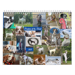 2023 Zeiger des Herzkalenders PointerRescue Kalender