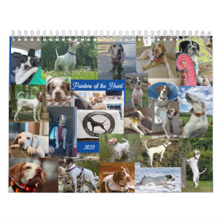 2023 Zeiger des Herzkalenders PointerRescue Kalender