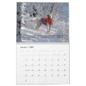 2023 Zeiger des Herzkalenders PointerRescue Kalender (Jan 2027)