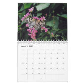 2024 - 12-monatige Vogelarten, Schmetterlinge und  Kalender (Mär 2027)