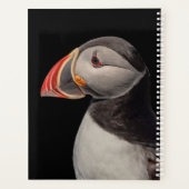 2024 Atlantic Puffin in Maine Planer (Rückseite)