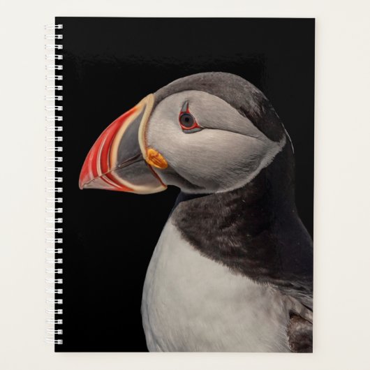 2024 Atlantic Puffin in Maine Planer (Vorderseite)