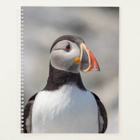 2024 Atlantic Puffin in Maine Planer (Vorderseite)