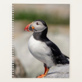 2024 Atlantic Puffin in Maine Planer (Vorderseite)