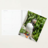 2024 Atlantic Puffin in Maine Planer (Anzeige)