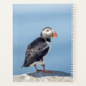 2024 Atlantic Puffin in Maine Planer (Rückseite)