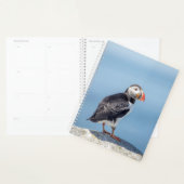 2024 Atlantic Puffin in Maine Planer (Anzeige)