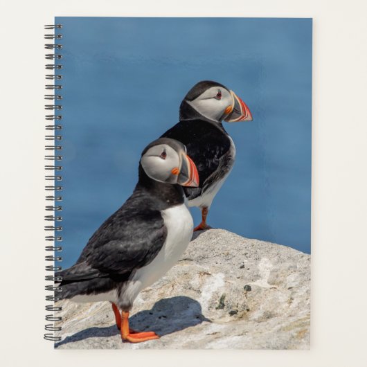 2024 Atlantic Puffins in Maine Planer (Vorderseite)