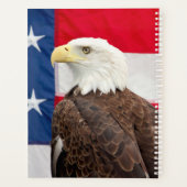 2024 Bald-Adler mit amerikanischer Flagge Planer (Rückseite)