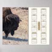 2024 - "Buffalo" Poster (Vorne)