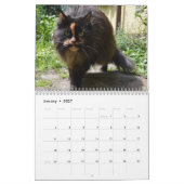 2024 Calendar Top Cats UK Events & Holidays Kalender (Jan 2027)