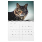 2024 Calendar Top Cats UK Events & Holidays Kalender (Mär 2027)