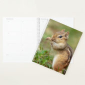 2024 Chipmunk in den Adirondacks Planer (Anzeige)