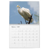 2024 Egrets & Herons-Kalender Kalender (Feb 2027)