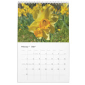 2024: farbenfroher Naturkalender Kalender (Feb 2027)