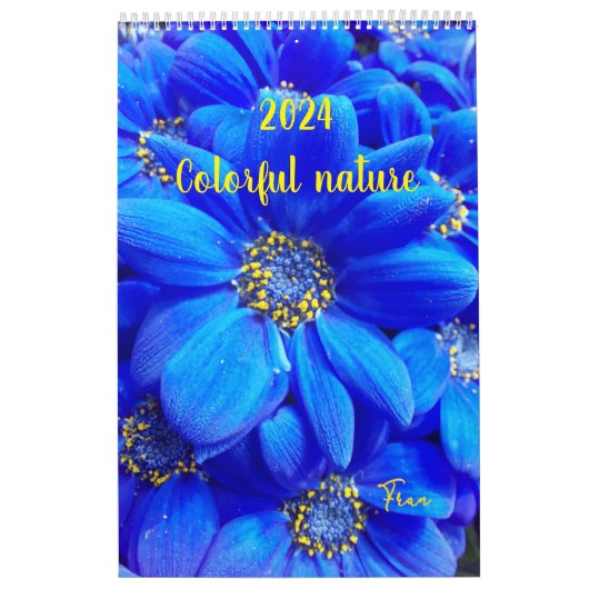 2024: farbenfroher Naturkalender Kalender (Titelbild)